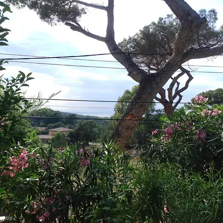 Studio Villa Le M Six-Fours-les-Plages Exterior photo